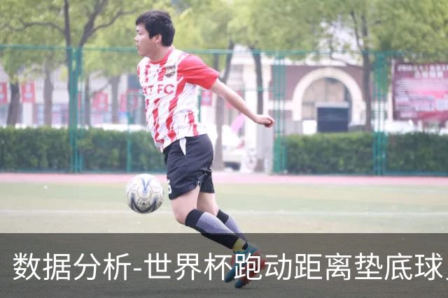 数据分析-世界杯跑动距离垫底球员竟是他 场均步行比例最高