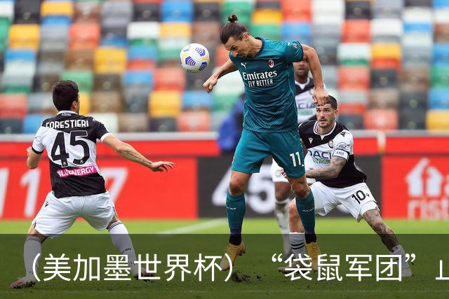 （美加墨世界杯）“袋鼠军团”止步32强 悉尼球迷难掩失落